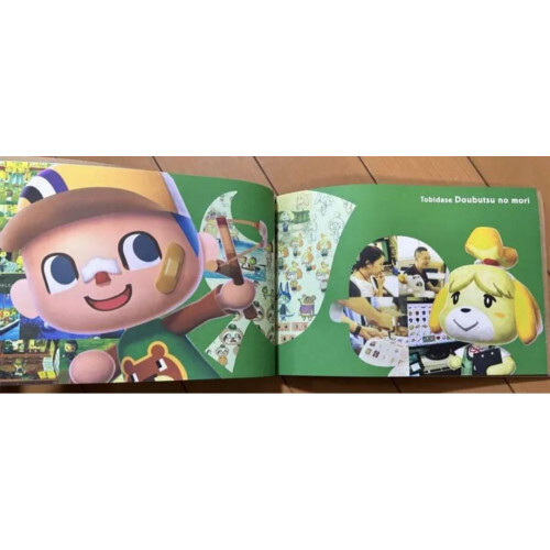 Nintendo Recruitment 2013 Company Information Document