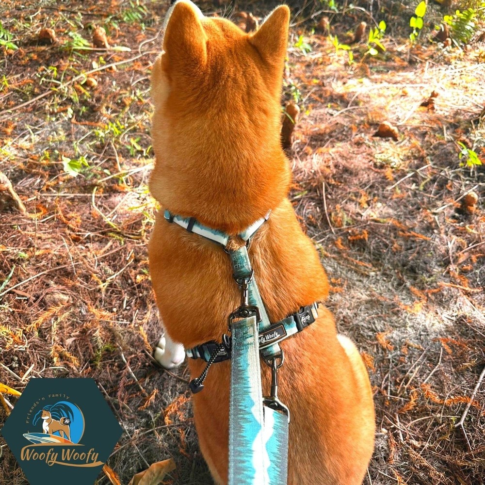 Casual H Dog Harness No-Pull Pet Harness with 2 Leash Clips Adjustable Soft P...