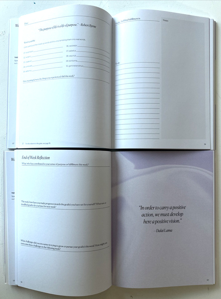 Switch Purpose Planner 2023 "Values , Self Determination