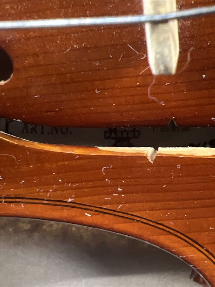 Parrot | Art No. 19 | Violin With Case