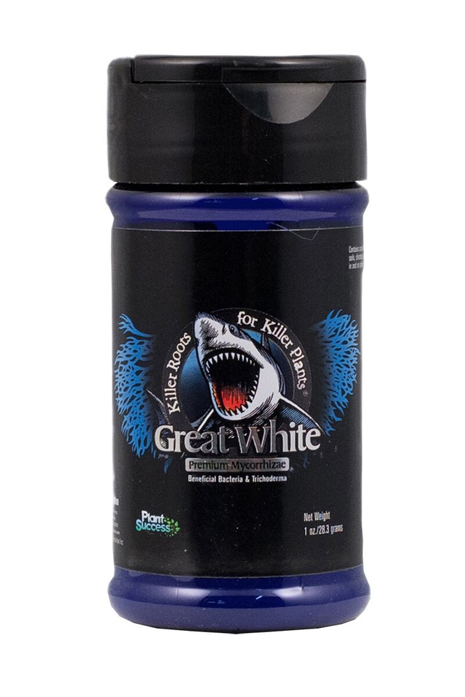 Great White Mycorrhizae