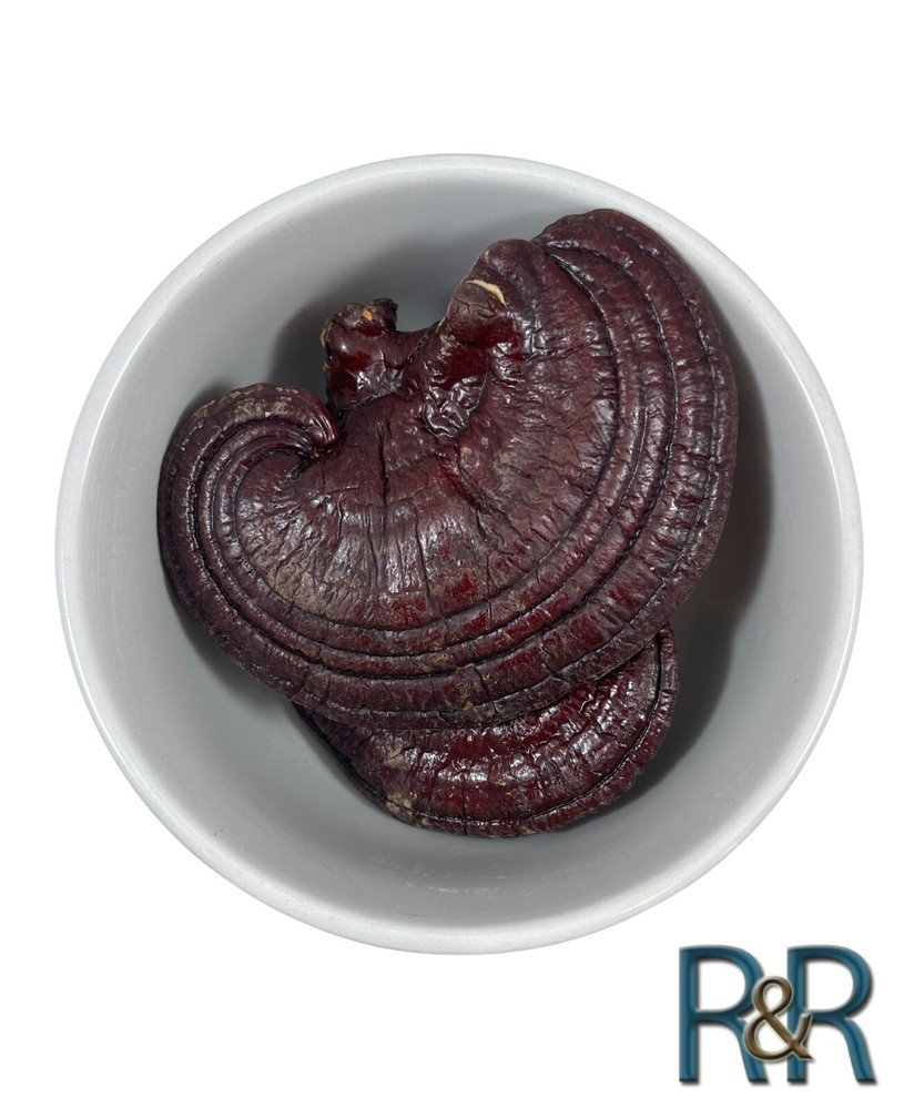 Whole Red Reishi Mushroom - 100% Pure, Non-GMO Ganoderma Lucidum, Immune System