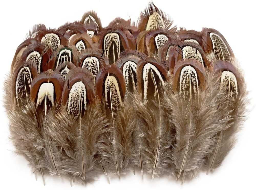 Eco-Friendly 50 Pcs Natural Pheasant Feathers - Ideal for Decorative Projects