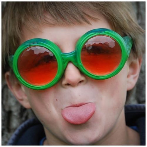 Play Visions Fly Eyes Multiple Vision Glasses Visual Sensory Processing FEYE