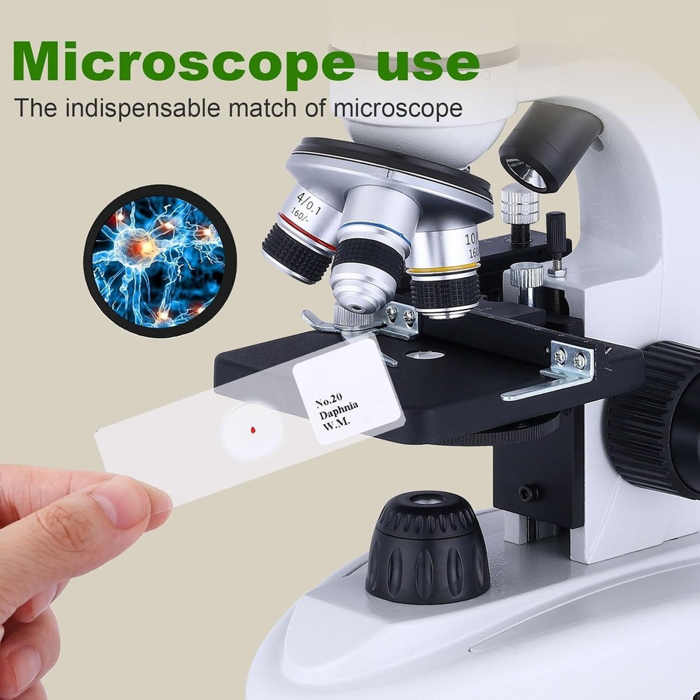60-Piece Prepared Microscope Slide Set - Ideal for Biological Science Education