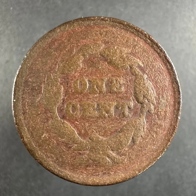 Braided Hair Large Cent Date Worn