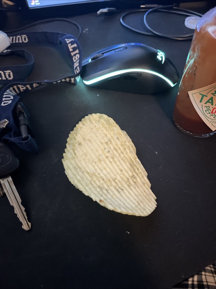 Worlds Biggest Ruffles Chip