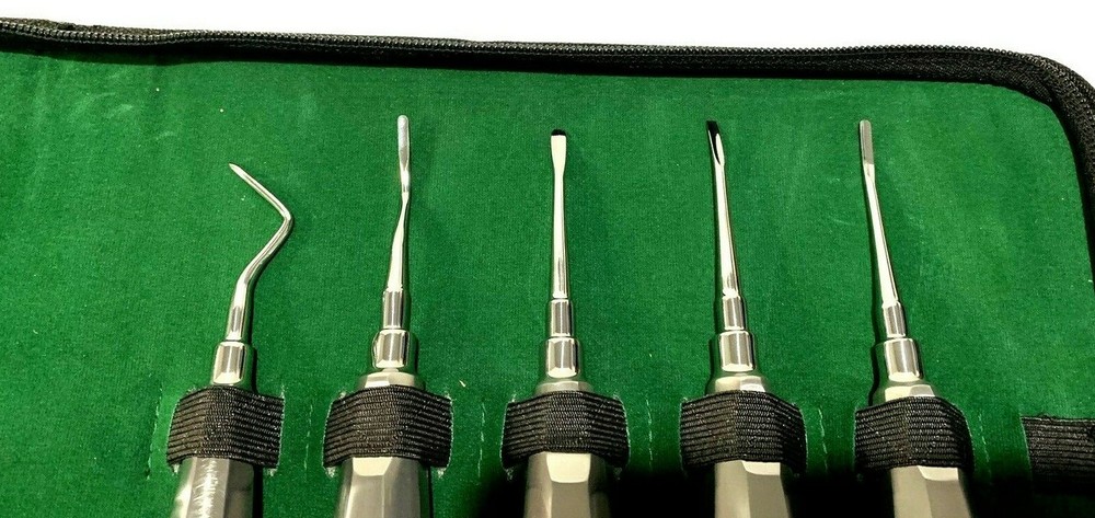 10Pcs Straight CVD Non-Magnet Handle French Points Elevators – Surgical Tools