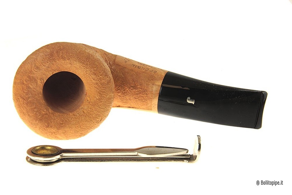 Ser Jacopo S3 (A) - Spongia - Calabash
