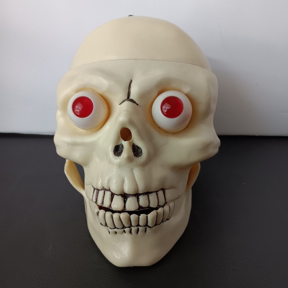 Lighted-Talking Plastic Skull
