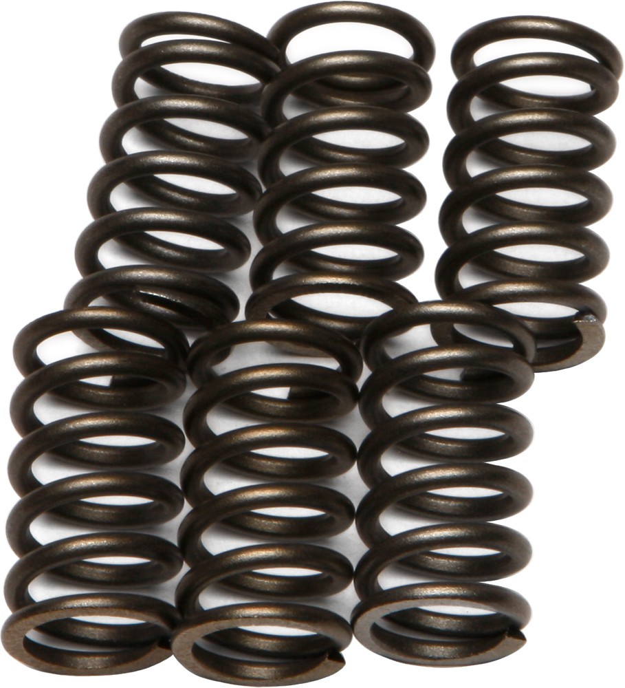 EBC Clutch Spring Set CSK10