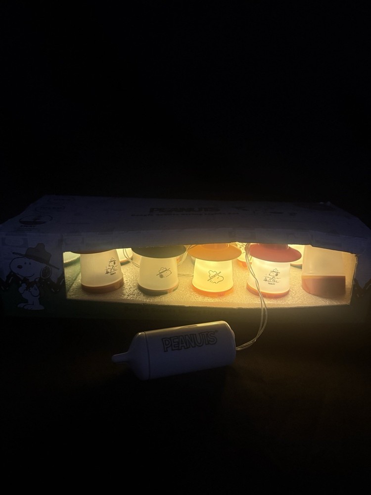 Peanuts Snoopy Beagle Scouts Mini Lantern 10-piece String Light Set New Tested
