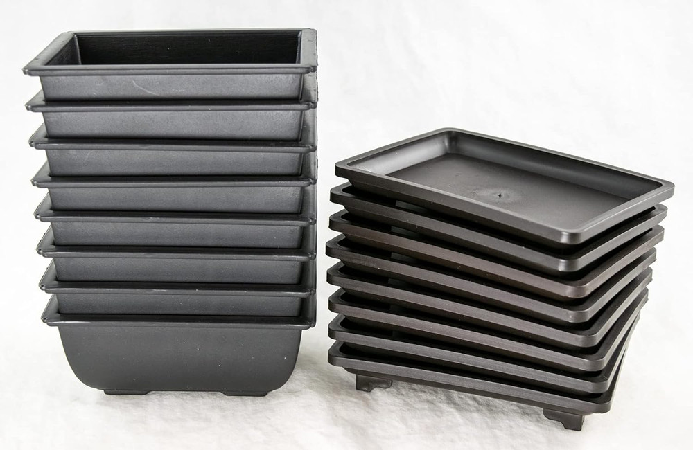 8 Sets Rectangular Plastic Shohin Bonsai Training Pot, Cactus & Succulent Plante