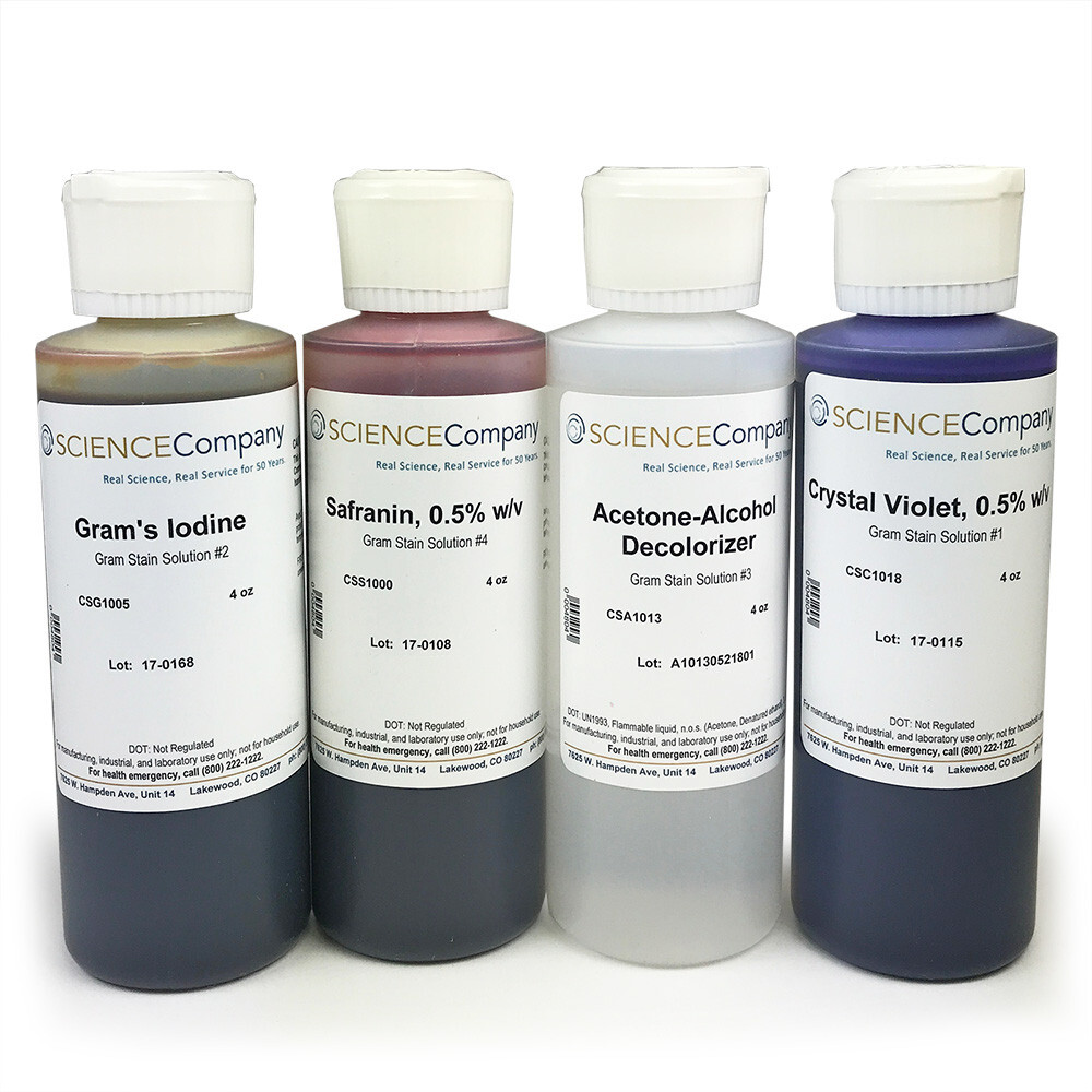 Gram Stain Set, 4x4oz, Microscope 4 part bacteria stain