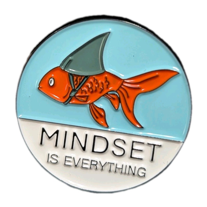 Pin FUNNY Sarcastic Flair - Mindset Is Everything Fish