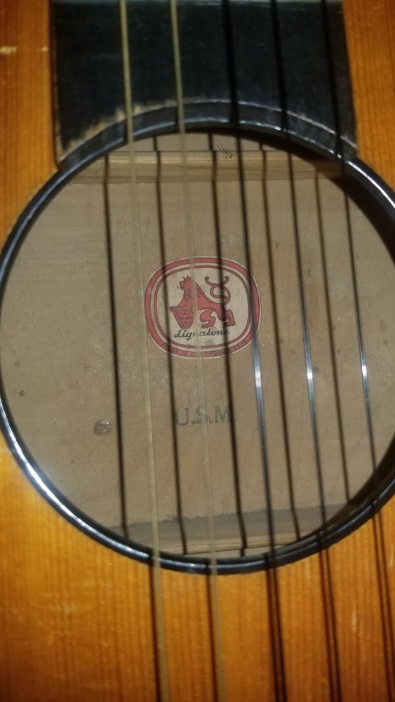 Vintage Lignatone Acoustic Guitar *Missing One String