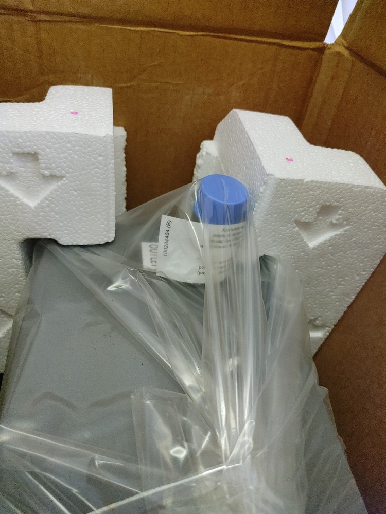 State Water Heaters 1000294849/R4MS-320E Electric Tankless Water Heater