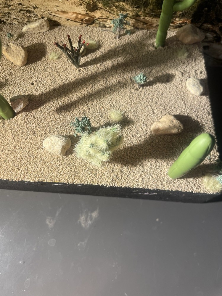 Ho Scale Cactus, Teddy Bear Cholla