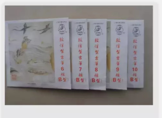 Guzheng B string standard strings Germany with steel core 6-10 sets strings