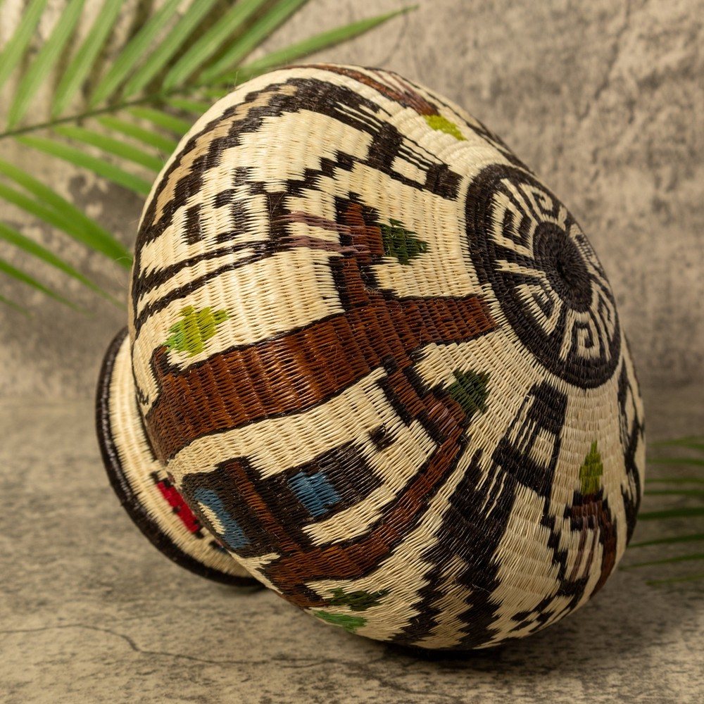 Harpy Eagle Rainforest Basket