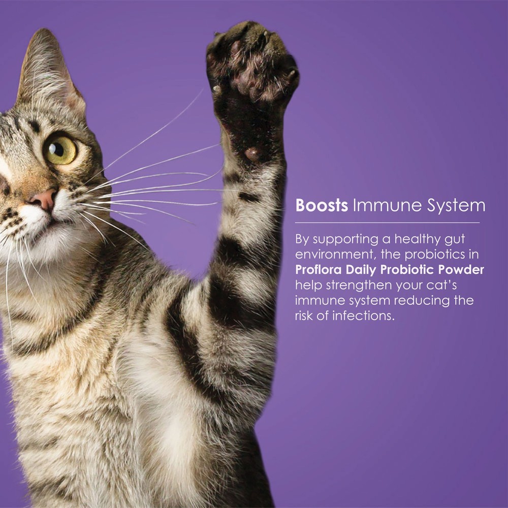 Proflora Probiotic for Cats (30 Servings)