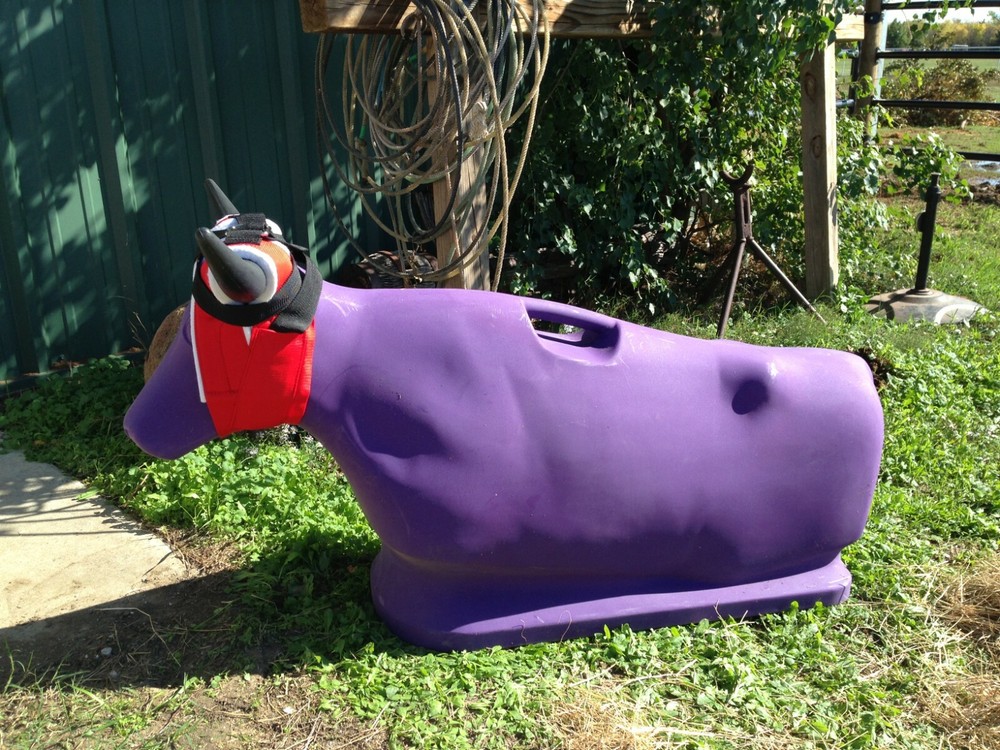 SOMETHING DUMMY Roping Dummy Roping Steer - Black