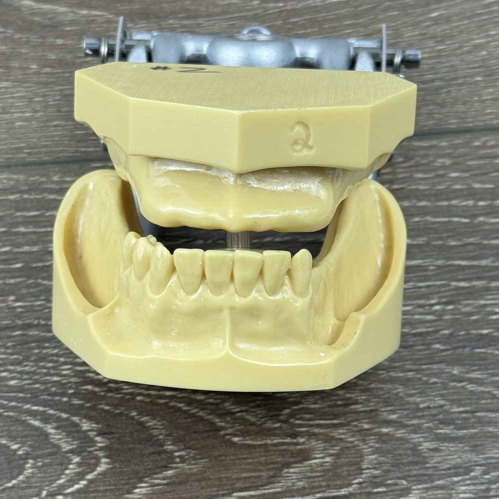 Kilgore Nissin TRM-480 Typodont Edentulous Partial Denture Model Practice