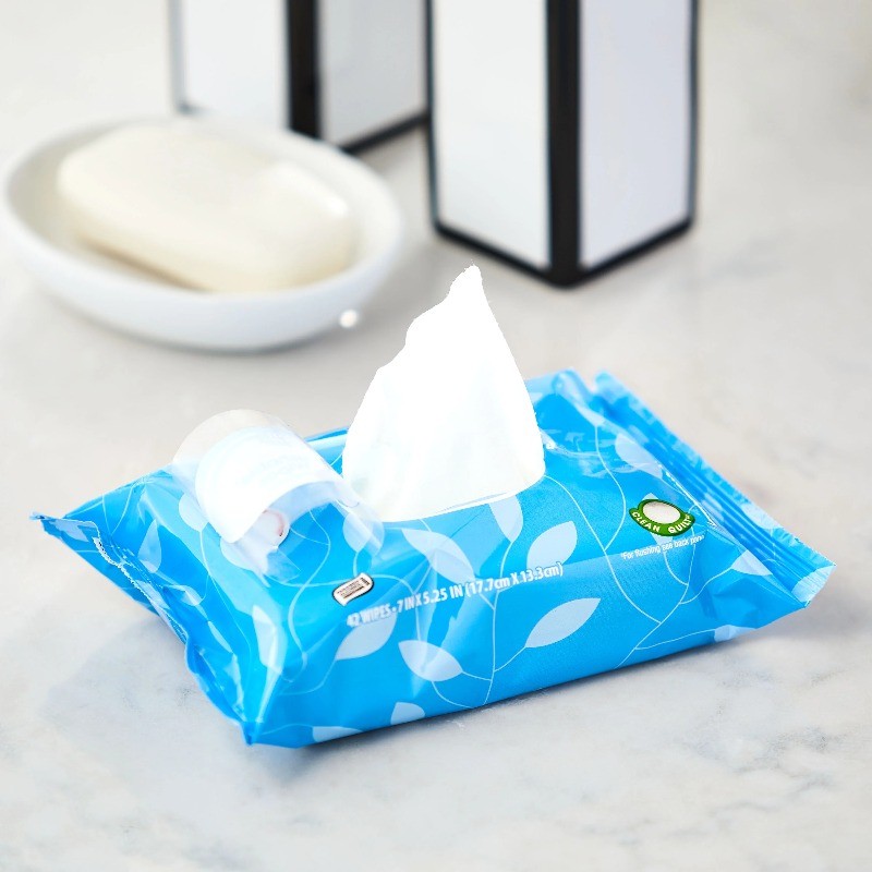 (3 pack) Great Value Fresh Scent Flushable Wipes, 10 Resealable Packs
