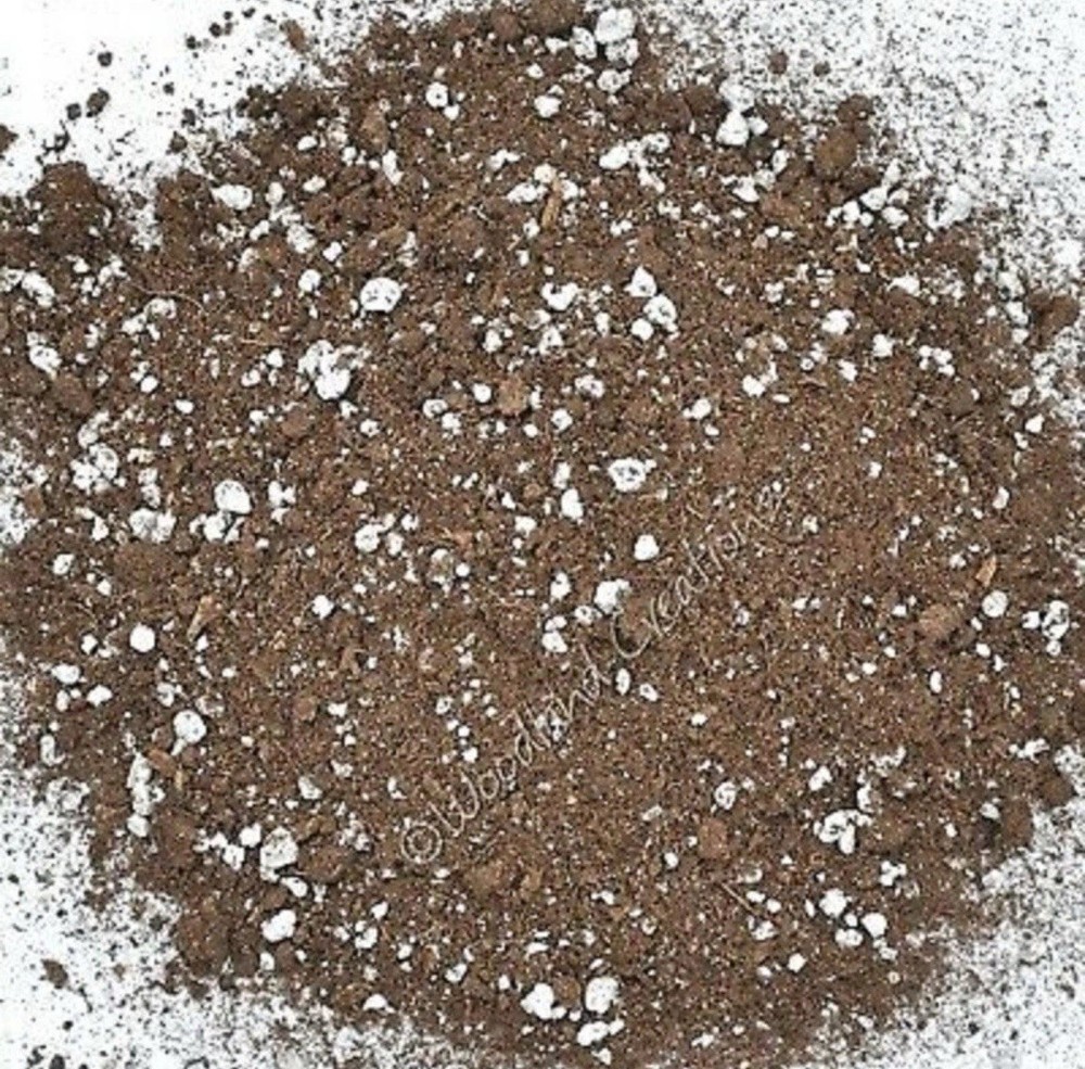 Pro-Mix BX Potting Mix - 2 Gallons -