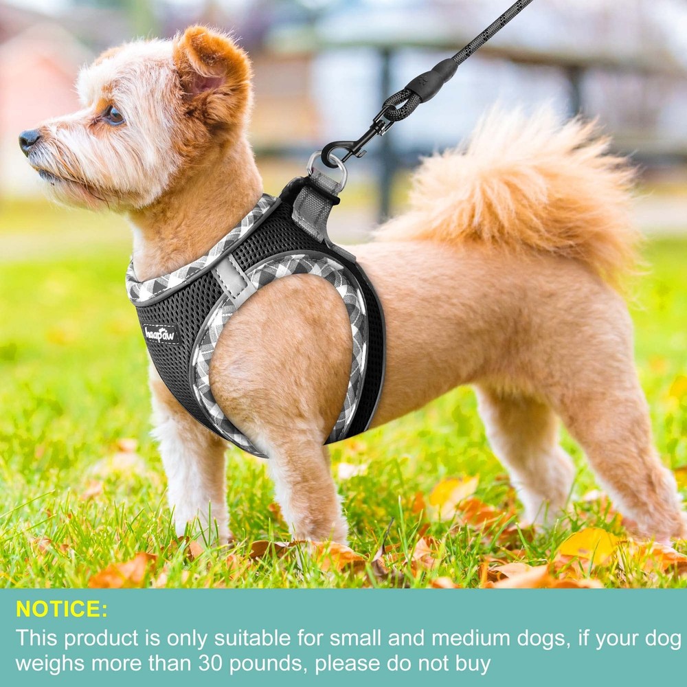 haapaw Dog Harness with Leash Set, No Pull Adjustable Reflective M, Black