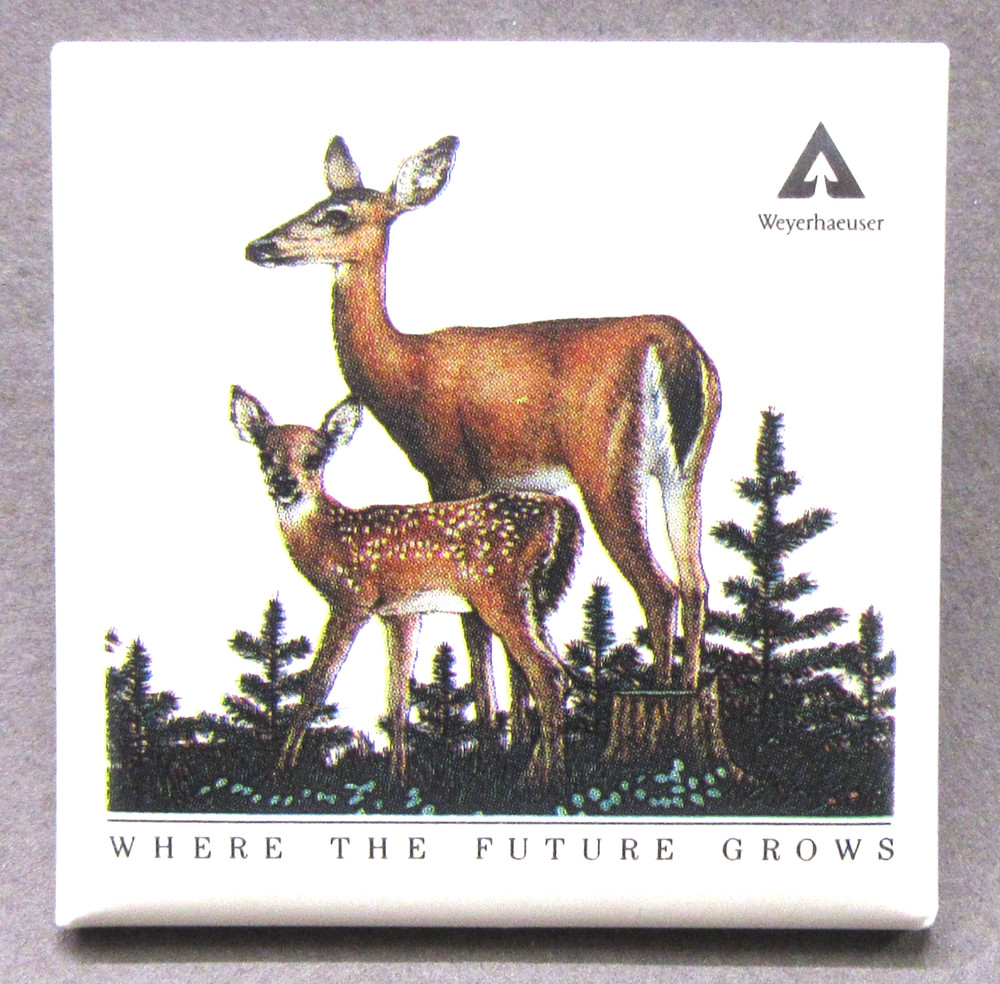 WEYERHSAEUSER Where The Future Grows 2.25" square pinback button DEER yy