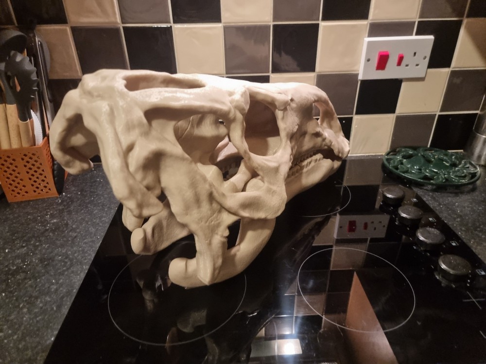 Iguanodon Replica Skull Large Dinosaur Skull Model
