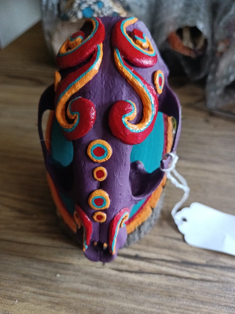 Skull On Wood (box 4)