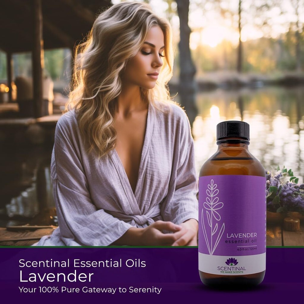 Scentinal Lavender Essential Oil - 100% Pure, Natural & Authentic - Extra Large