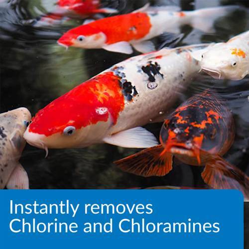 API Pond Ammo Lock 64 oz. Detoxifies Ammonia 166D