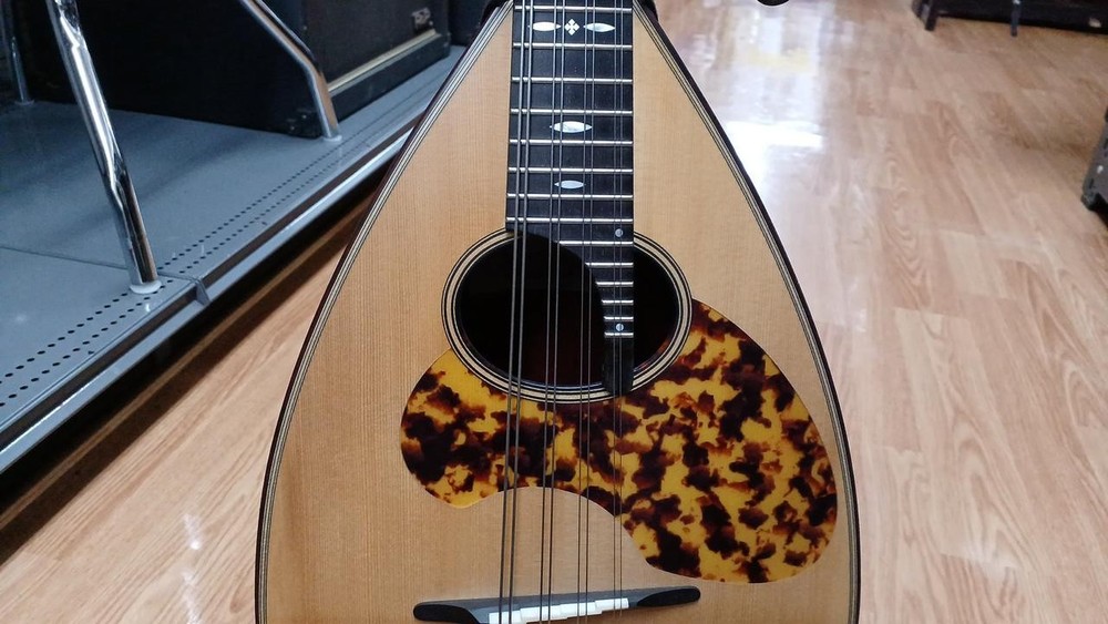 Miyano Mandolin MD-3 BIS Mandolin