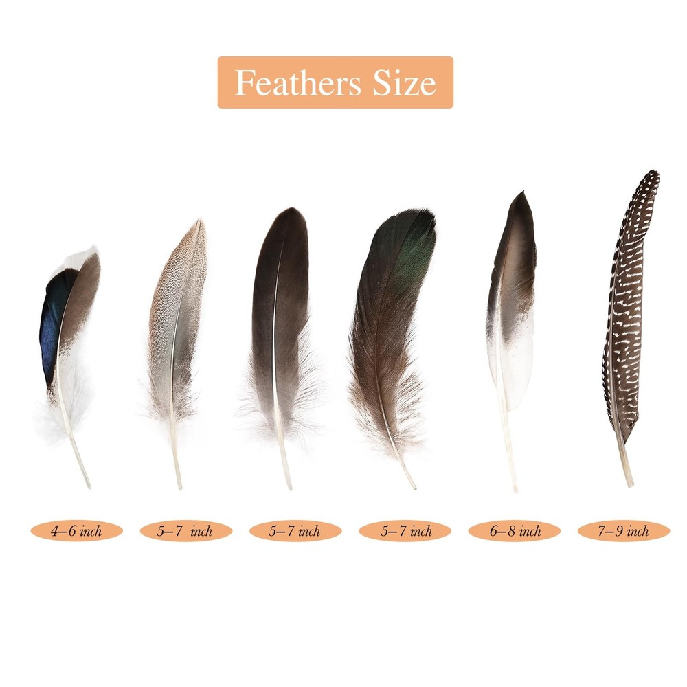 60pcs Natural Pheasant Feathers Bulk Spotted Feathers 6 Styles Mixed Feathers...