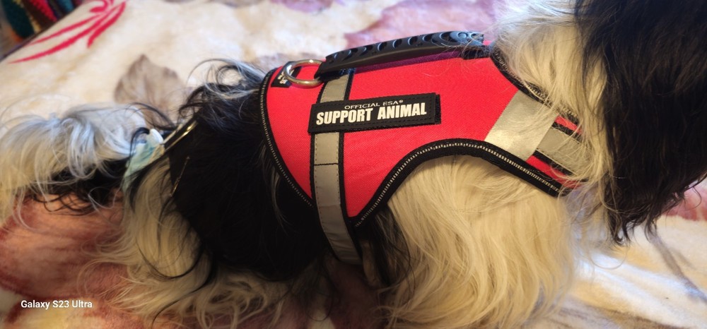 ESA SUPPORT ANIMAL