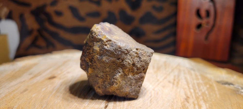 Petrified Wood 90g MI