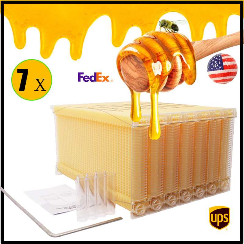 2026 Auto Bee Hives Beekeeping Starter Kit Bee Box + 7 Plastic Beekeeping Frames