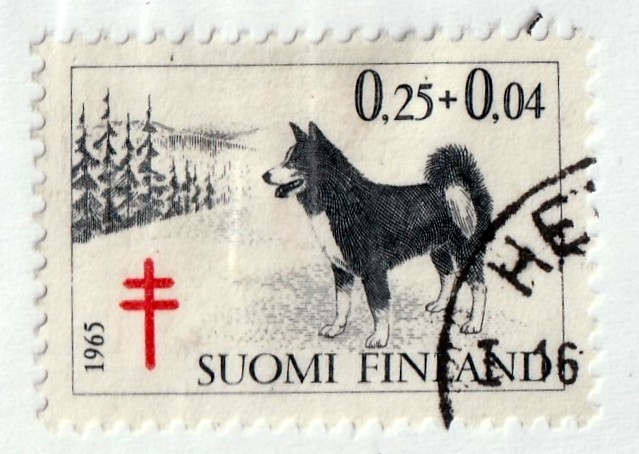 Finland      B174      used