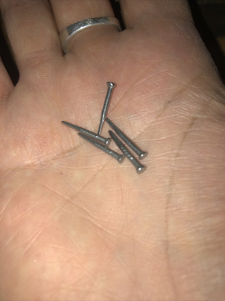 Hold fast Antique nails