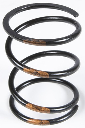 Team 210278 Secondary Spring Steel - Black/Gold