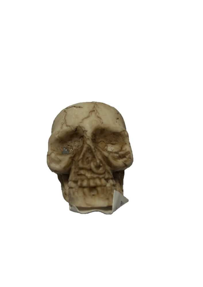 Cigarette Extinguisher Skull Shape | Design 1