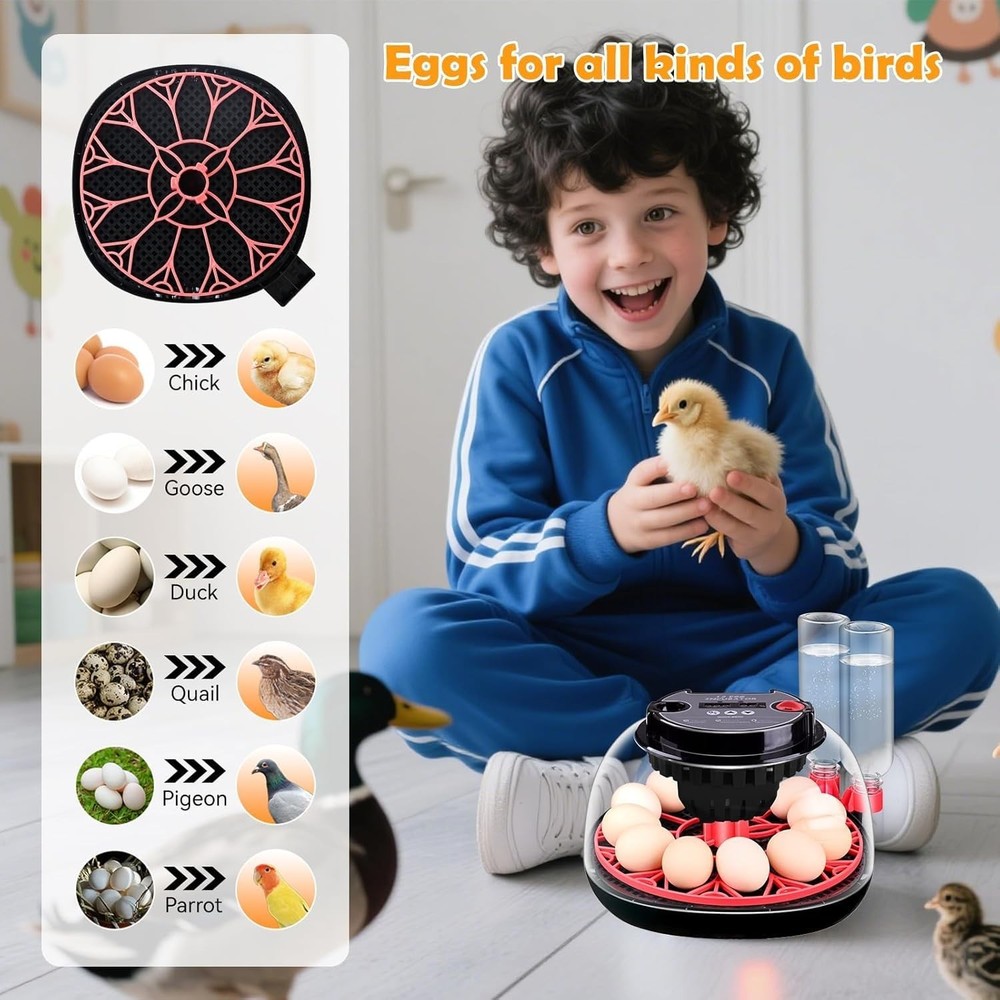 Egg Incubator, Automatic Egg Turner Egg Incubator, Automatic and Adjustable Egg