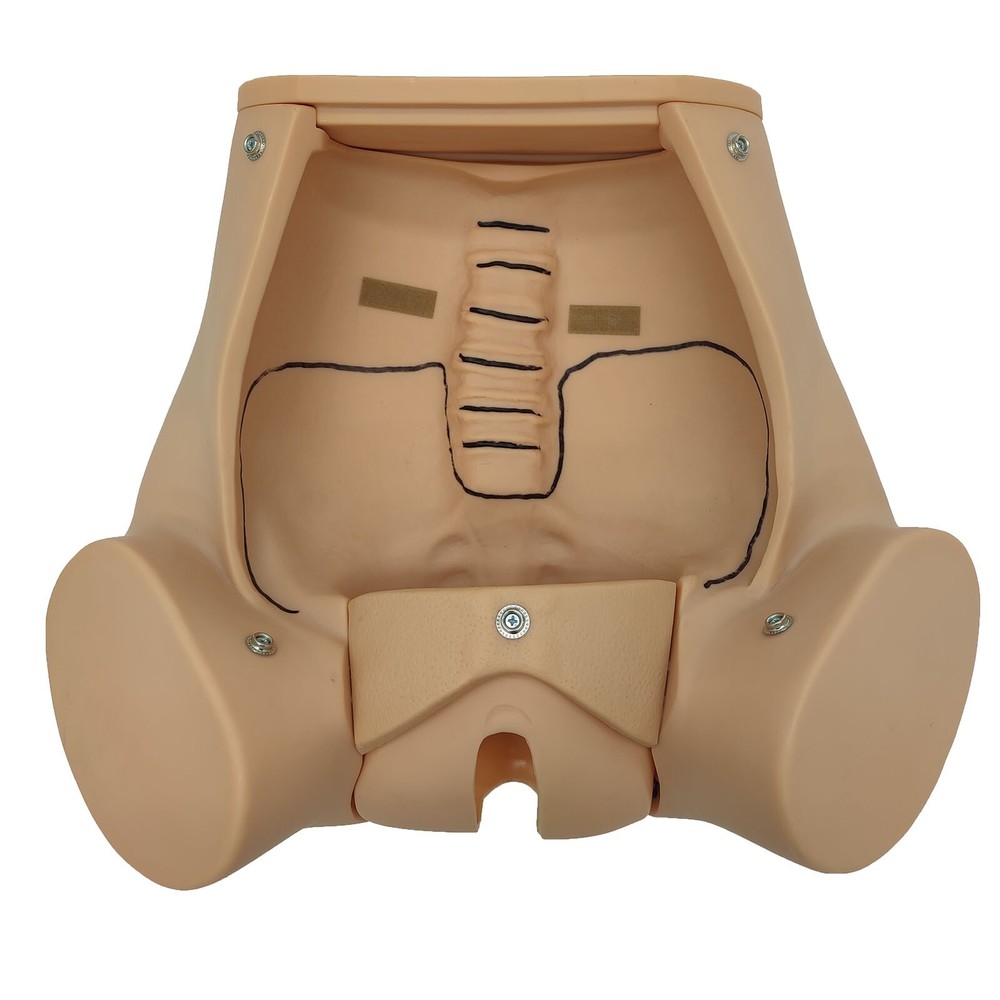 Bsterric Natural Delivery Skill Training Model Simulation Parturition Childbirth