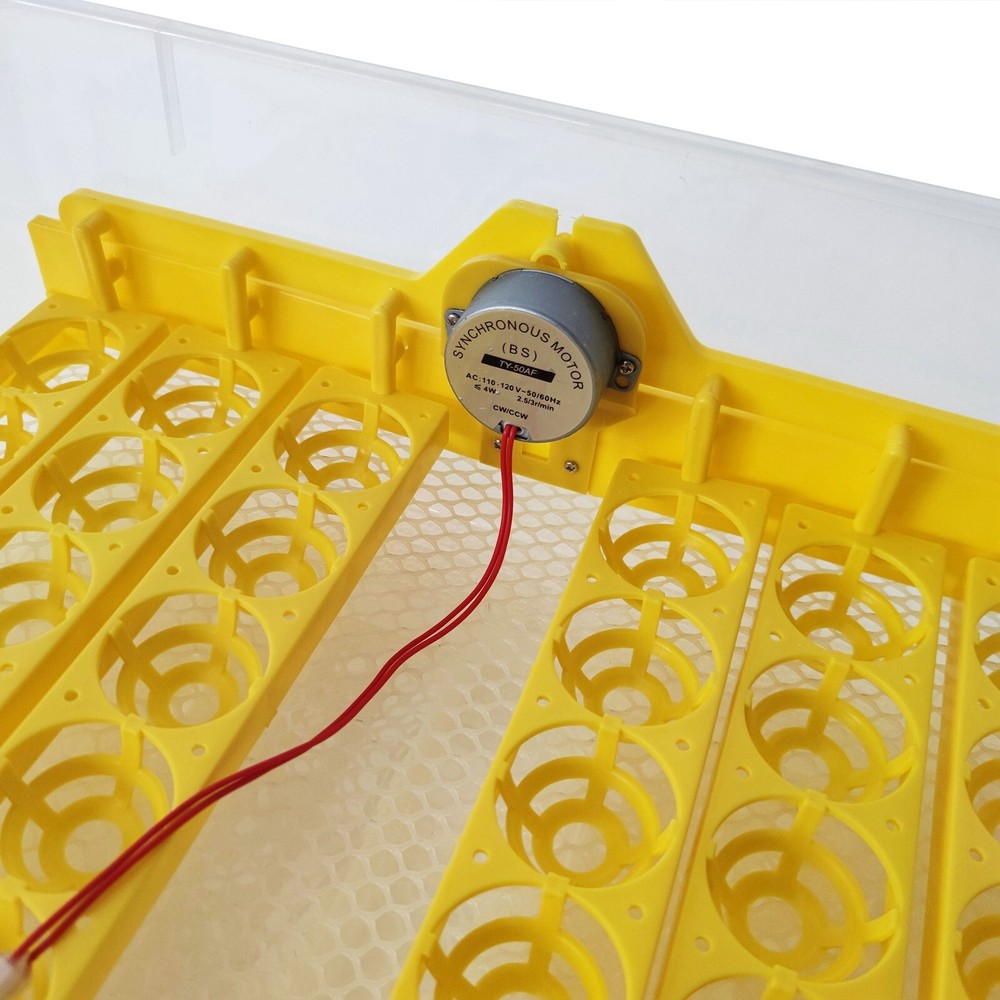 110V 48 Eggs Fully Automatic Egg Incubator