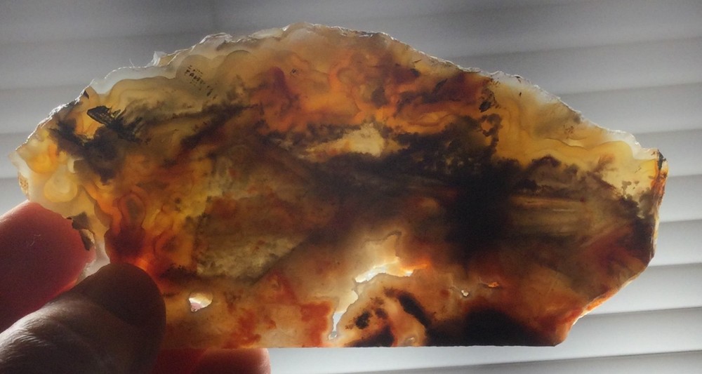 Opalized Agate rough slab for cabbing. Mesmerizing! #OA-002