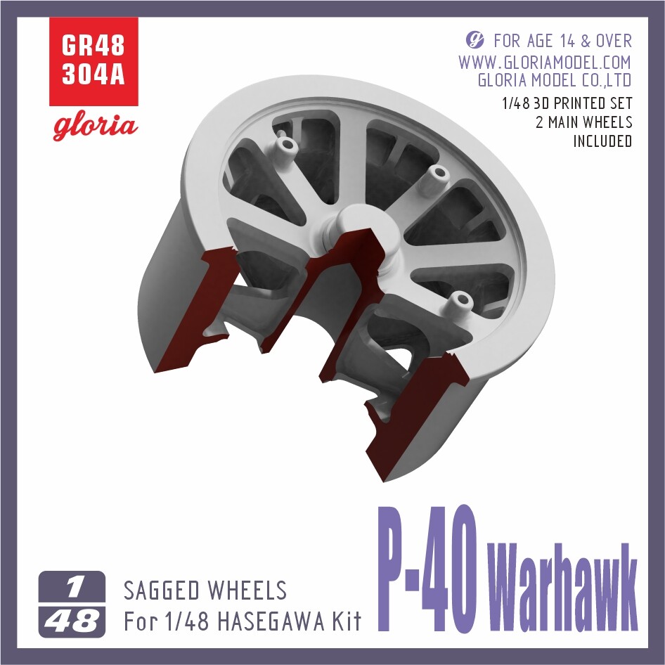 ETmodel 1/48 GR48304A P-40 Warhawk Sagged Wheels(Type 1)3D Printed