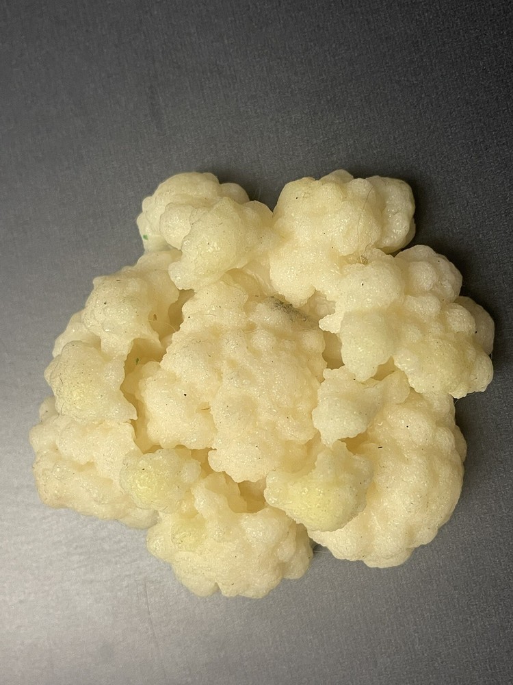 Nasco cauliflower food replica nutritional prop portion